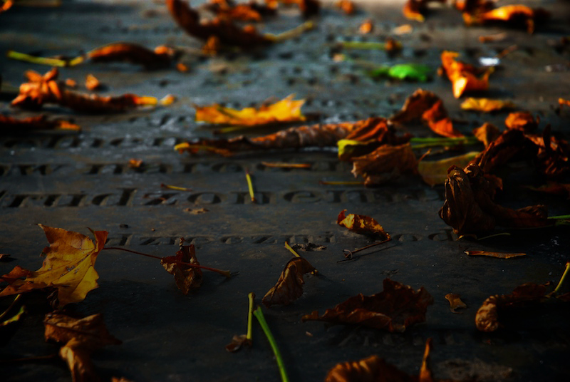 Jemu wszyscy żyją? Łuk. 20:37,38