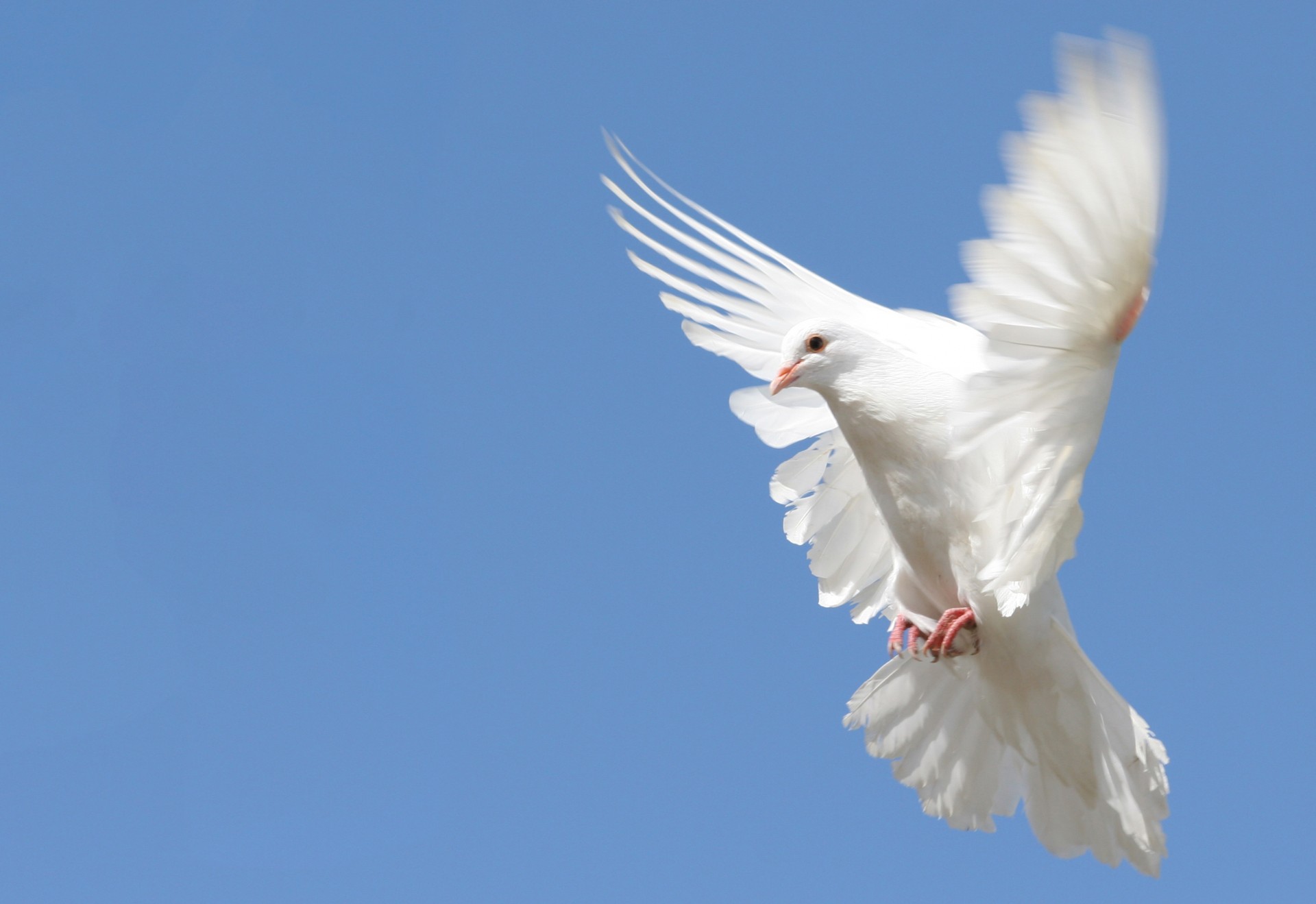 Sprawdzian darów Ducha