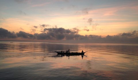 Niewód zapuszczony w morze
