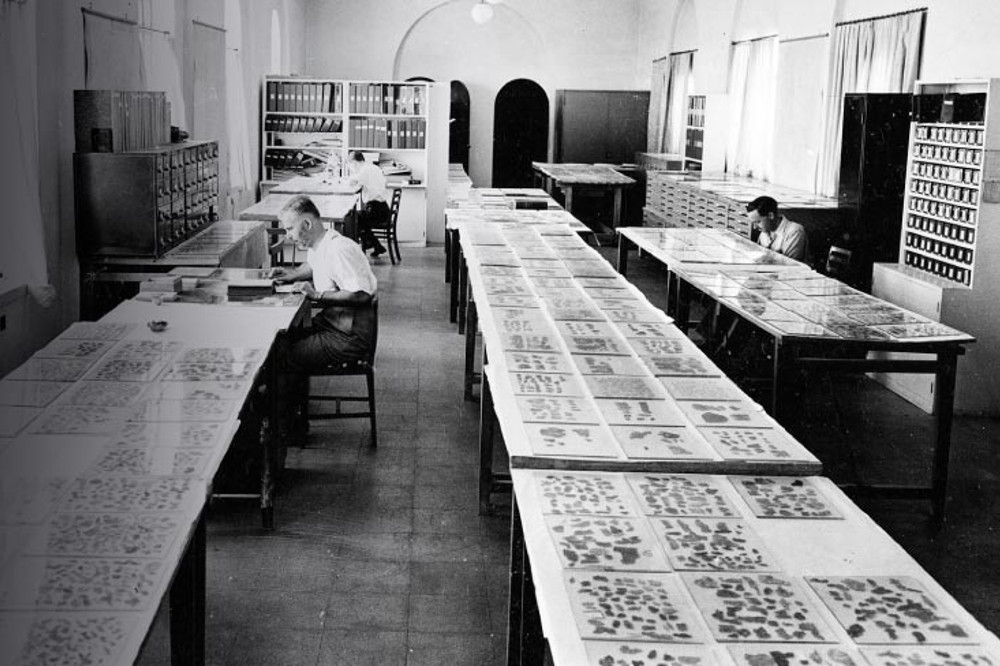 Zwoje Biblijne odnalezione w Qumran