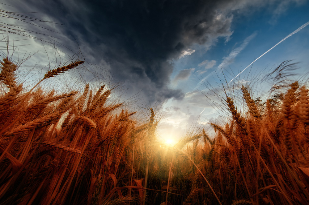 Łaska Boża jest zbawienna dla wszystkich ludzi