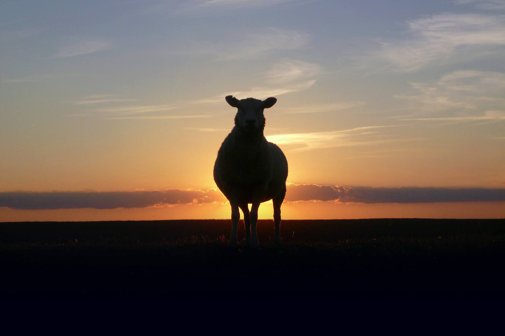 „Bo okup za duszę jest zbyt drogi”