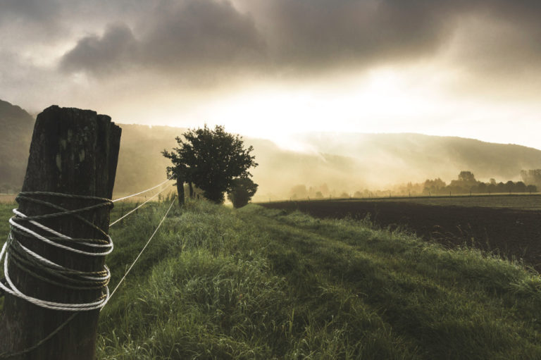 Leczenie Babilonu: Wizja Ezechiela