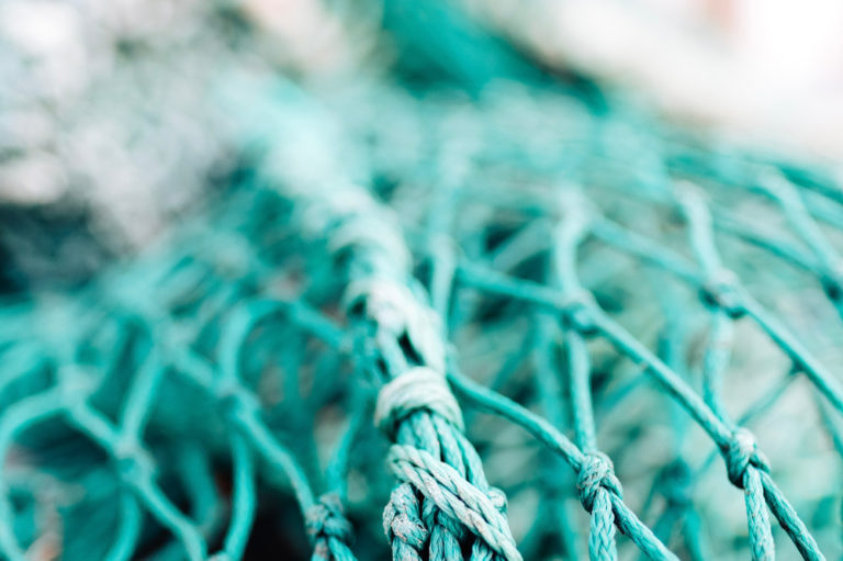 Chrześcijanin w sieci